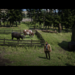 Red-Dead-Freecam4