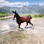 Red-Dead-Mule