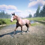 Red-Dead-Mule3