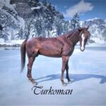 Red-Dead-Multiclass-Horses