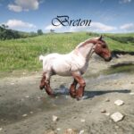 Red-Dead-Multiclass-Horses2