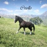 Red-Dead-Multiclass-Horses3