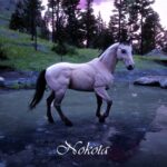 Red-Dead-Race-Horses2