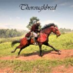 Red-Dead-Race-Horses3