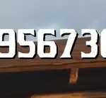 Red-Dead-Redemption-2-Infinite-Money