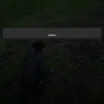 Red-Dead-Redemption-2-Infinite-Money3
