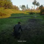 Red-Dead-Redemption-2-Infinite-Money4