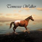 Red-Dead-Riding-Horses2