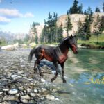 Red-Dead-War-Horses