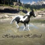Red-Dead-War-Horses3