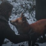 Replace-Your-Dog-Coyote-or-Fox4