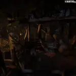 Rhodes-Tree-House4