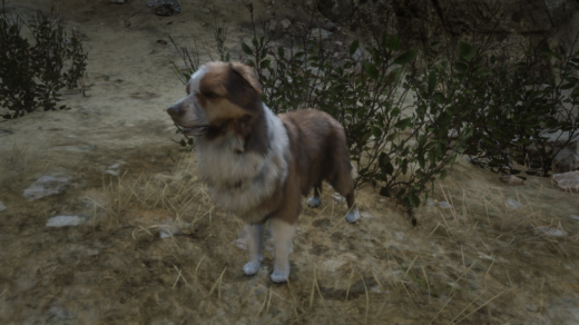 Rufus-Replacers2-1024x576-1