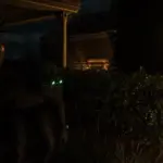 Sam-Fisher3
