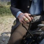 Satchel-ring-in4