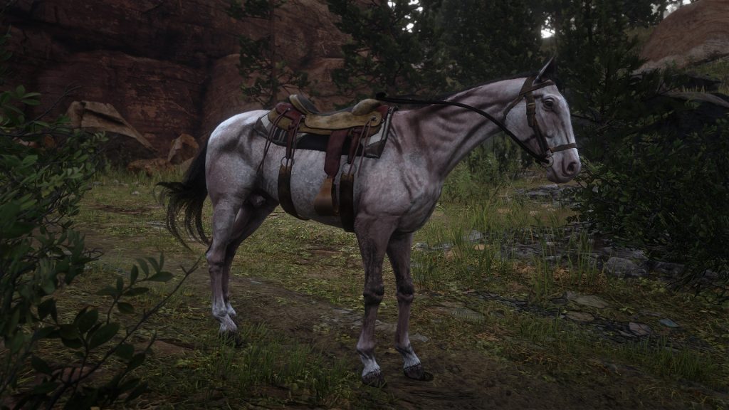 Scrawny Nag