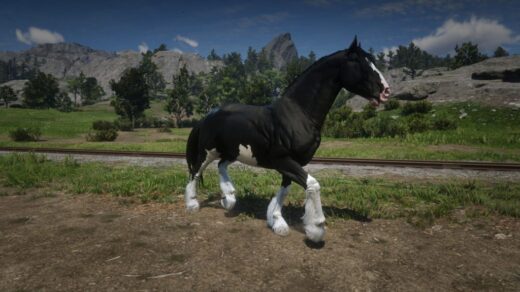 Shire-1024x576-1