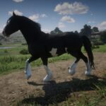 Shire2