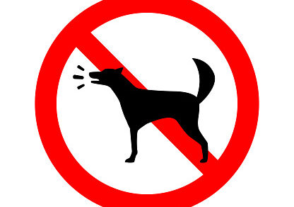 no barking dog allowed. forbidden Vector Sign no barking dog allowed. forbidden Vector Sign