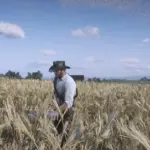 Simple-Ranching2