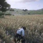 Simple-Ranching3