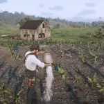 Simple-Ranching5