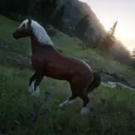 Sirius-Horse-Coats3