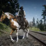 Sirius-Horse-Coats4