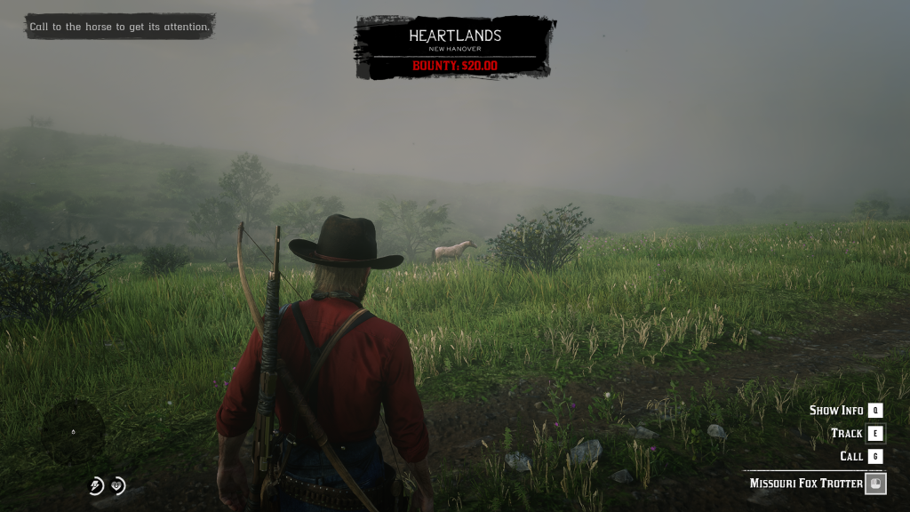 Special Horses in Wilderness