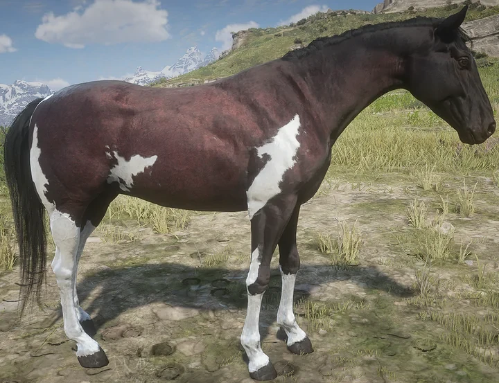 Starter Horse Max Status