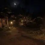 Strawberry-Lights4