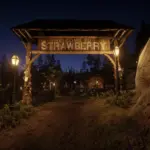 Strawberry-Lights5