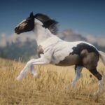 Streams-Horse-Overhaul2