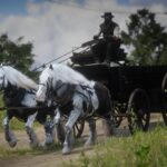 Streams-Horse-Overhaul3