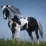 Streams-Horse-Overhaul4