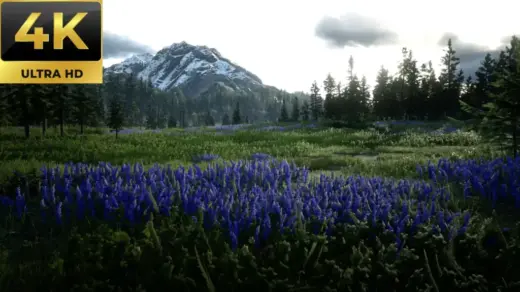 Stunning-Visuals-HDR-Reshade-for-RDR2-1024x576-1