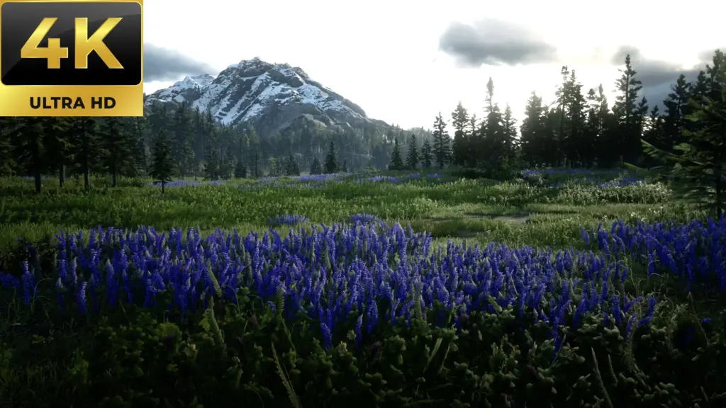 Stunning Visuals HDR Reshade for RDR2 V0.1