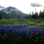 Stunning-Visuals-HDR-Reshade-for-RDR2-scaled-1