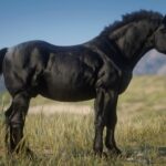 THE-GIGACHAD-HORSE