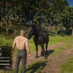 THE-GIGACHAD-HORSE3