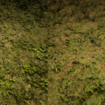 Terrain-Textures-Overhaul2