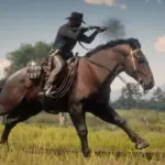 The-Percheron-Horse