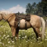 The-Percheron-Horse2