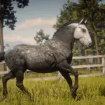 The-Percheron-Horse3
