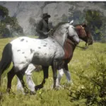 The-Percheron-Horse4