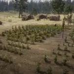 The-Real-Ranch-The-hope-of-Beecher2