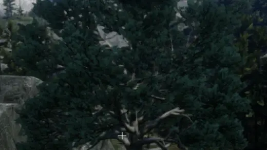 The-Tree