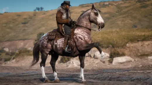 The-Updated-Andalusian-Horse-1024x567-1