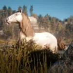 The-Updated-Andalusian-Horse2