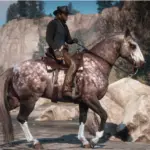The-Updated-Andalusian-Horse3
